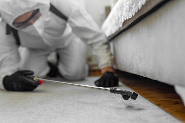 Professional Bed Bug Control technician working in Newton, MA