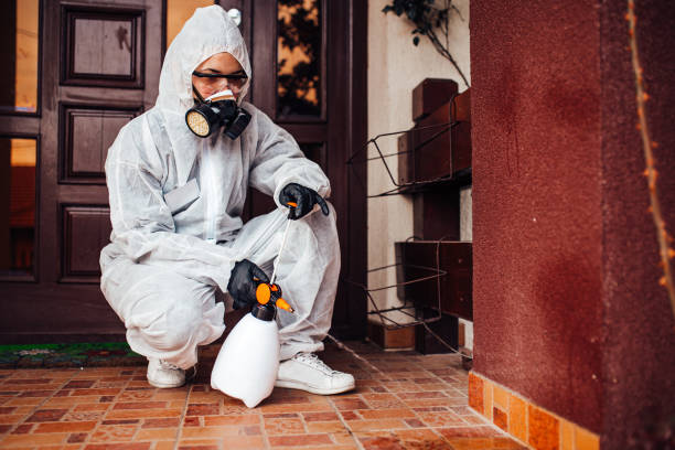 Reliable Bed Bug Control contractor in Newton, MA by Nex Pest Control