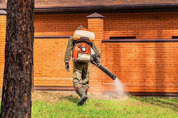 Trusted Termite Control service in Newton, MA - Nex Pest Control